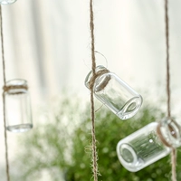 3 струна маленьких бутылок (серия из 9 бутылок из бутылок 4 см 2 см) не содержит растений