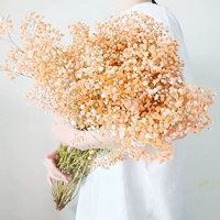 Оранжевая звезда, полная звезд - очень большая куча - 2 котла