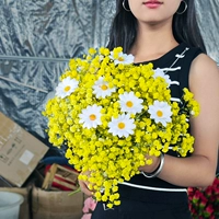 Желтая звезда 1 Жаза+Дайте 8 симуляционных цветочных летучих мышей