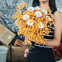 Оранжевая звезда 1 Жаза+Отправить 8 симуляционный цветок ромашка