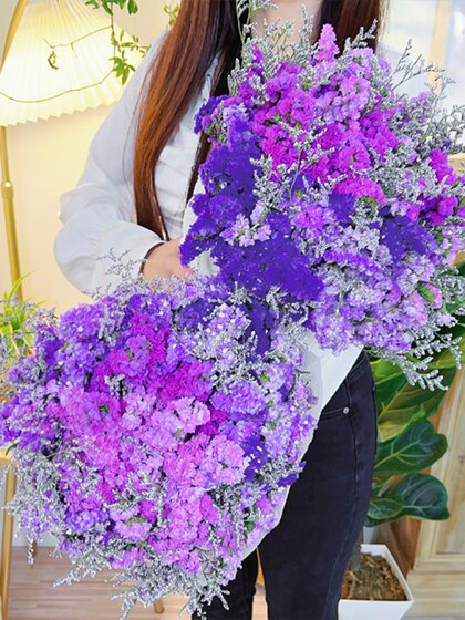 云南勿忘我满天星干花花束真花自然风干客厅装饰摆设批发件