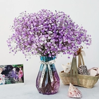 Purple Stars + Diamond Bottle