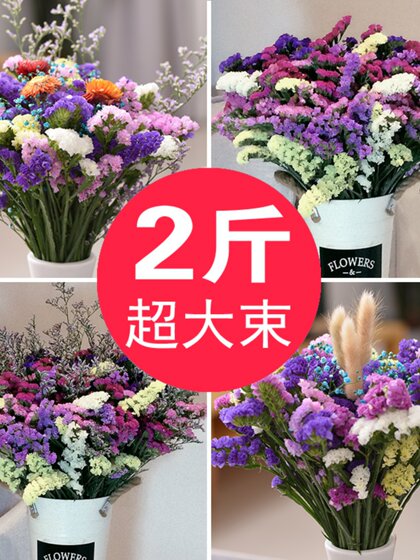 云南勿忘我满天星干花花束真花自然风干客厅装饰摆设批发件