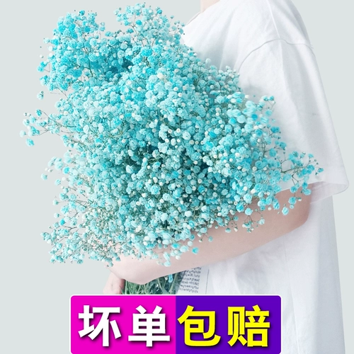 Полный тиантиан сухой цветочные балки