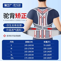 [Бионическая воздухопроницаемость]-Двойная поддержка киля+коррекция спины+коррекция горбуна-серый тройной-медицинская модель