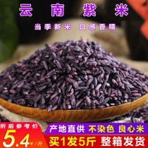5 Catboxes Purple Rice New Rice New Rice Yunnan Specie Products Old Varieties Purple Glutinous Rice Blood Sticky Rice Black Rice Sticky Rice 5 Valley Cereals Cereals