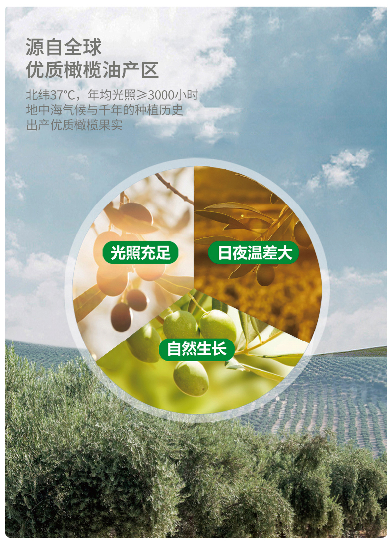 产品名称 ：金丰盛橄榄油食用油5升家用一级压榨葵花玉米植物调和油官方正品