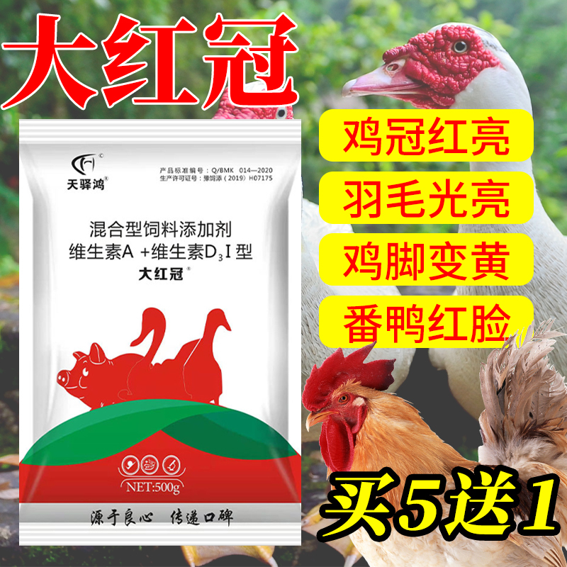 High-Nutrition Vitamin Feed for Poultry Promotes Growth, Increases Weight, Redensifies the Crown, Improves Appetite, Resists Disease, Prevents Pecking and Anal Pecking, Electrolyte Multivitamin