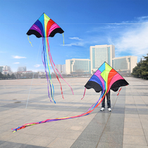 2021 New Weifang kite adult special network red large adult long tail good flying children Rainbow kite