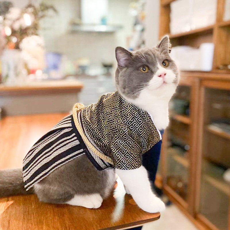 Rat wishes pet clothes cat clothes dog four-legged clothes small dog clothes autumn and winter clothes dynamic warm thickening