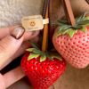 [A Big Strawberry]Resin 3D Sweet Car Keychain Decoration Gift for Couples and Best Friends