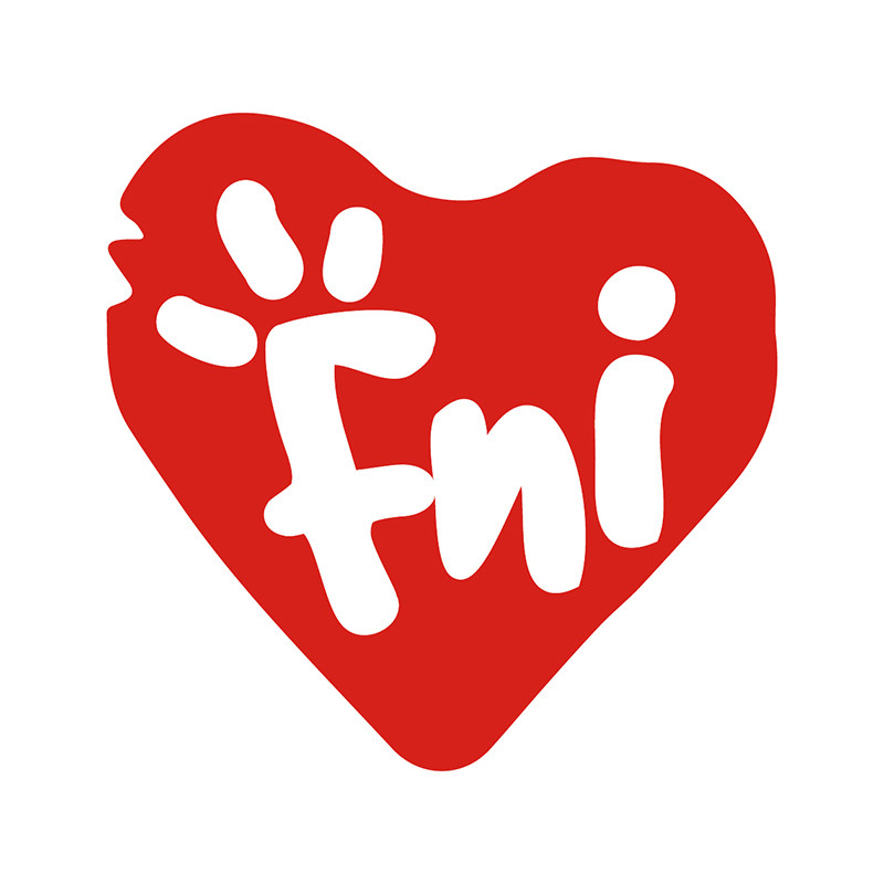 FNI 大赖