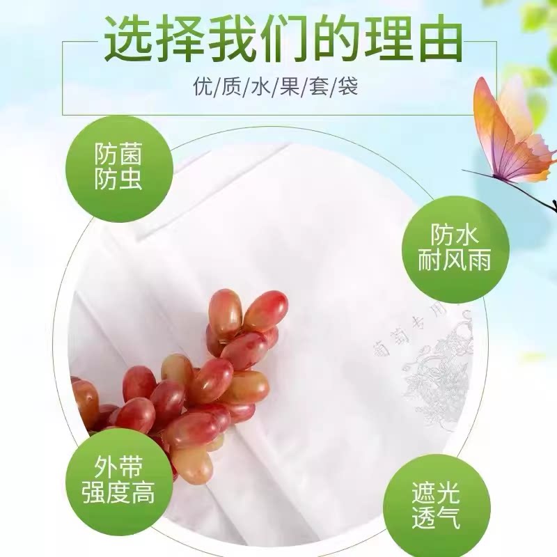 葡萄袋专业生产厂家的LOGO