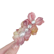 Gentle and white Moonlight atmosphere sensation Liu Haiclip pure desire to break hair clip with small crowdsourced side clip disc hairstyler Temperament Hairpin