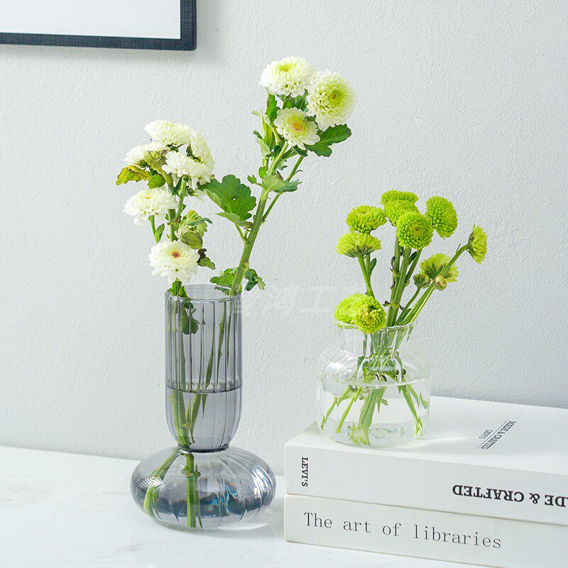 Nordic Simple Glass Vase Office Creative Transparent Network Flower Plumb Accessories Living Room Water Trend Decorations
