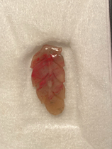 Changhua chicken blood stone