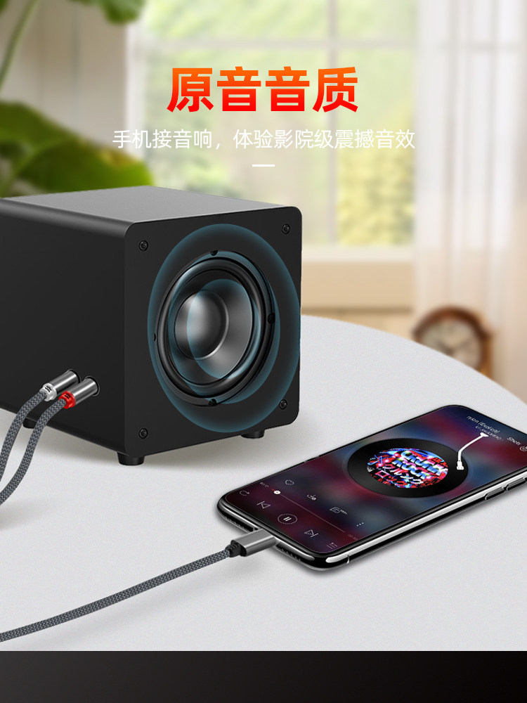 Sakore Typec Phone and Tablet to Rca Red and White Audio Cable, Dual Rca Splitter, Audio Adapter Cable Suitable for Huawei, Samsung, Apple, Xiaomi, Honor, Typec Laptops and Phones, Universal