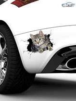 Creative personality 3D stereo Xiao Mao car sticker body scratches block cute funny kitten car tail scratches