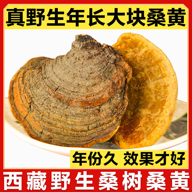 (Born in 20 years) Tibet wild mulberry mulberry yellow linzhi Lingzhi Lingzhi Specialty of Tibet Autonomous Region 500g