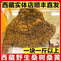 Tibets wild mulberry trees Sanhuang Linzhi Lingzhi Lingzhi Lingzhi Tibet Autonomous Region 500g
