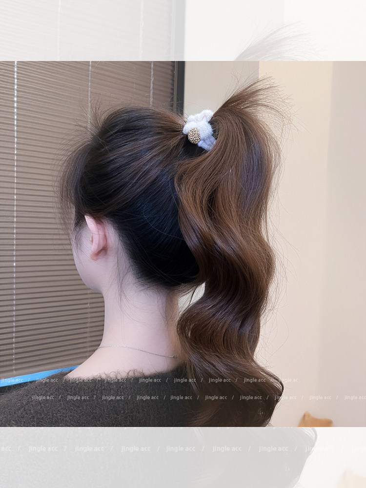 Meilade Hair Tie 2025 New High-End Small Elastic Hair Band for Women, High Elasticity Winter Hair Ring, Autumn and Winter Hair Accessory