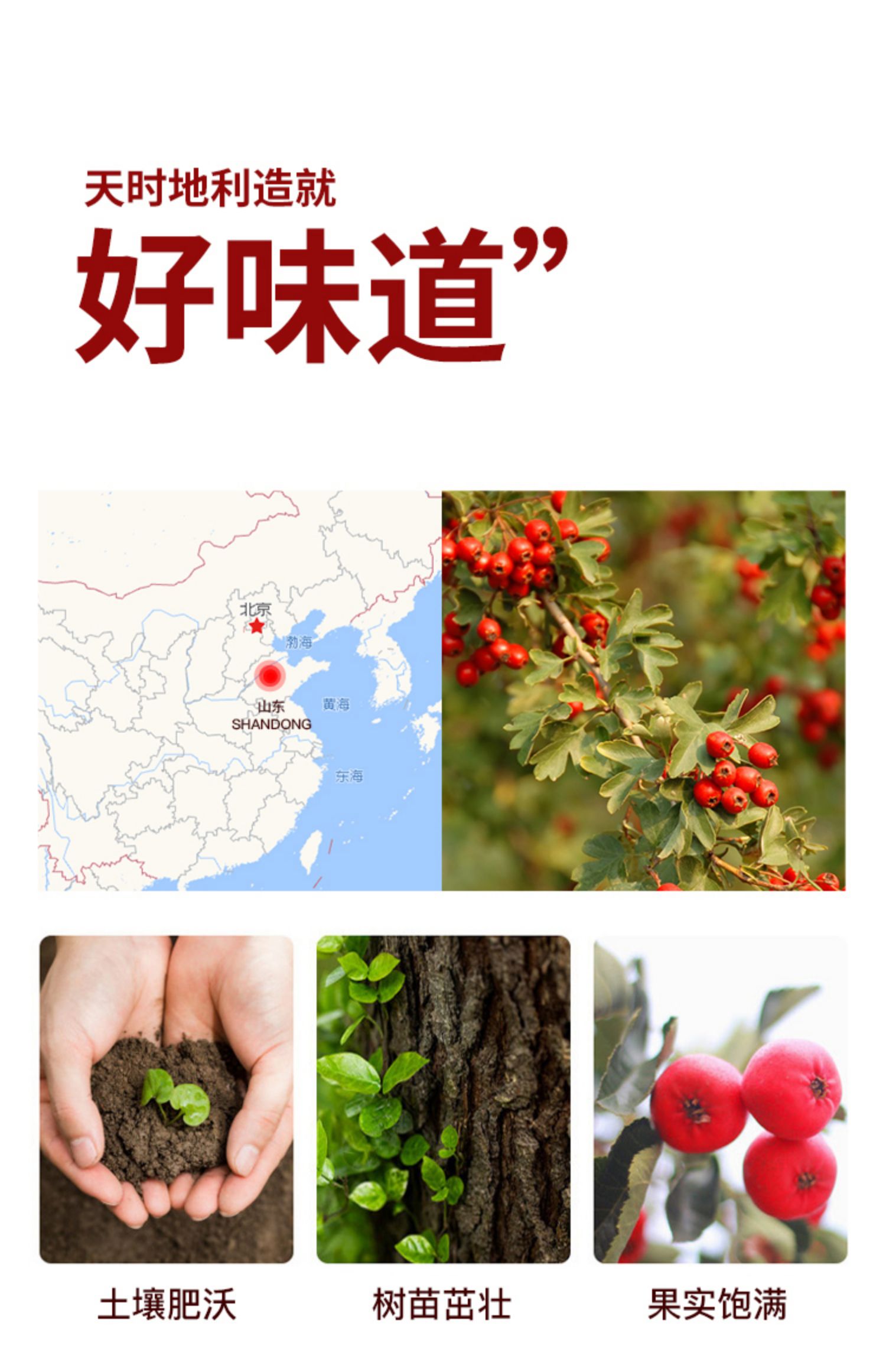 【108g*4包】开胃山楂条休闲消食零食