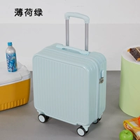 Mint Green [модный интернет-стиль знаменитостей] Непревзойденное открытие