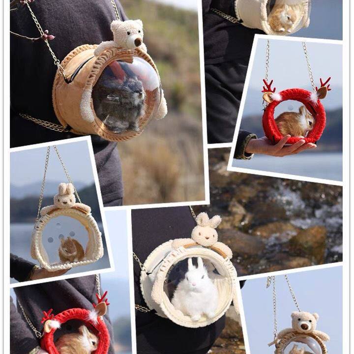 Small Darling Golden Silk Bear Dutch Pig Dragon Cat Rabbit Parrot Scapegoat bag hamster outside with bag small and small hand cage transparent