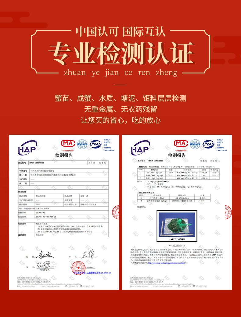 【诚蟹一品】鲜活大闸蟹礼盒