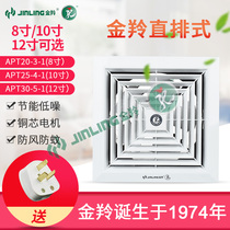 Golden Antelope Smallpox Straight Defectostyle 8 10 12 Inch Kitchen Bedroom Office Powerful Silent Home Suction Top Ventilator