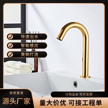 Fully automatic smart tap Single cold hot and cold inductive tap gold induction faucet induction washers