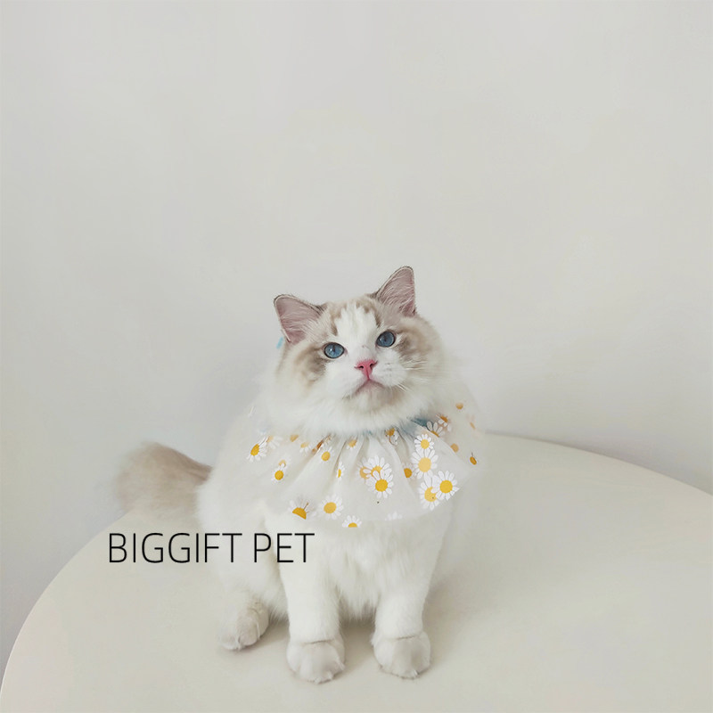 BIGGIFT PET~in small fresh dog cat birthday around the neck princess decorated pet mouth towel