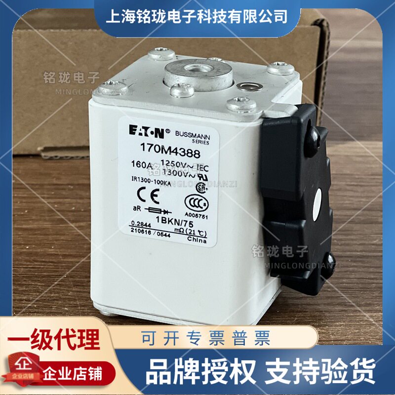 Original 170M4393 170M4394 170M4395 170M4396 170M4397 Basman fuse