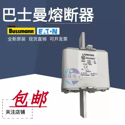 Brand new original 170M6305 170M6306 170M6307 Basman Fuse Fuse spot