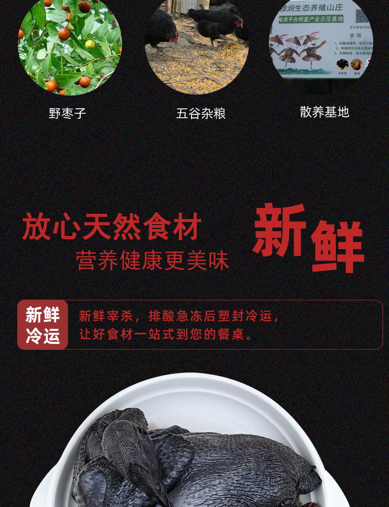 White Phoenix Black Chicken_05.jpg