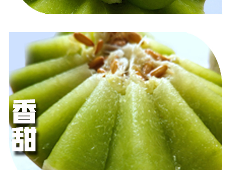 【顺丰包邮5斤】当季现摘现发玉菇甜瓜