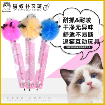 Spoiled pet kitty to tease a cats cat toy.