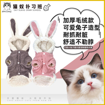 Cute little bunny cat clothes Pets Puppy kitty clothes Ying Short silver Gradual Layer Gaffi Cat Clothing Autumn Winter New