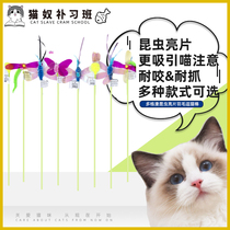 Multi-Diffuse Insect Sequin Feather Teasing Cat Sticks With Colorful Pet Cat Dog Toy Teasing Cat Sticks