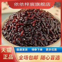 Authentic black glutinous rice northeastern purple rice blood glutinous rice new rice commercial farm-made rice dumplings rice wine milk taro mud tea rice balls