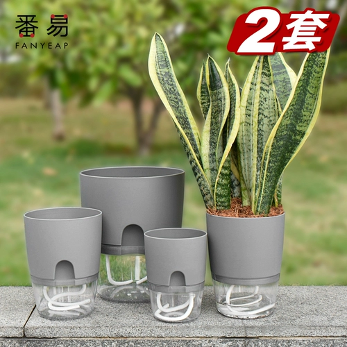 Золотая монета обмен автоматический водопоглощение цветочный горшок с ленивым цветочной тарелкой пластиковая гидропонная креативная цветочная растение зеленое укроп.