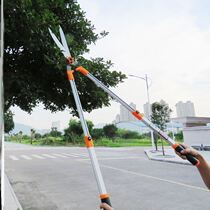 Garden formed branches garden garden cut grass trim grass trim large scissors green hedge cut scissors