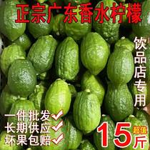 Guangdong Perfume Lemon 15 catties seedless fresh drink milk tea shop dedicated first-class hand-beaten green lemon commercial fruit