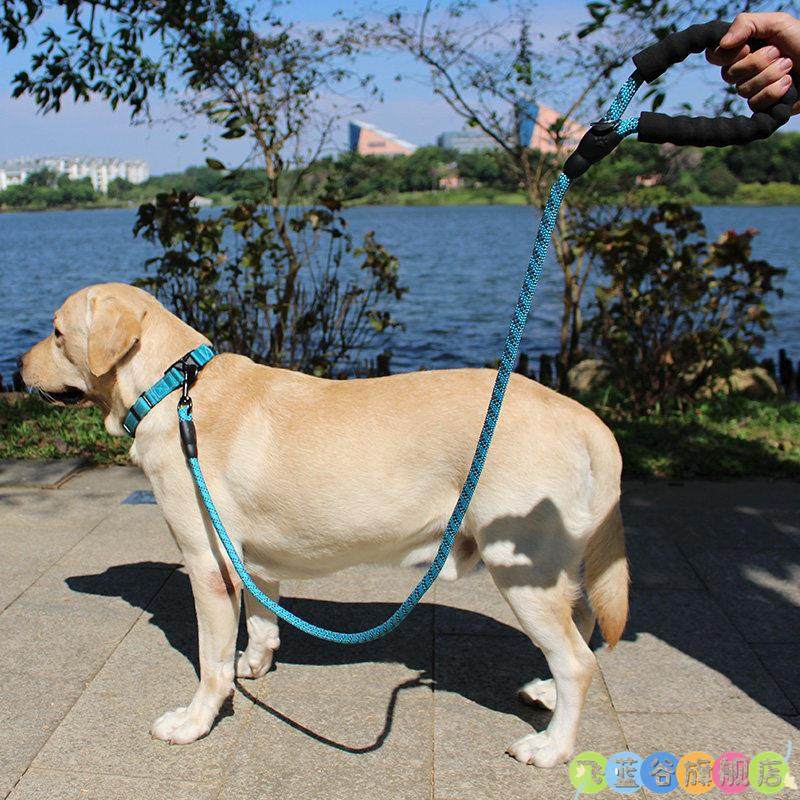 Dog Leash, Dog Collar, Pet Labrador Golden Retriever Anti-Explosion Chain, Small, Medium and Large Dog Collar