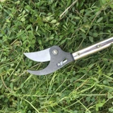 Новый продукт из нержавеющей стали, резки высоких резкостей, ножницы провинции садов, садоводство, редкие цветы, редкие фрукты, резаки и порезы