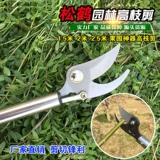 Новый продукт из нержавеющей стали, резки высоких резкостей, ножницы провинции садов, садоводство, редкие цветы, редкие фрукты, резаки и порезы