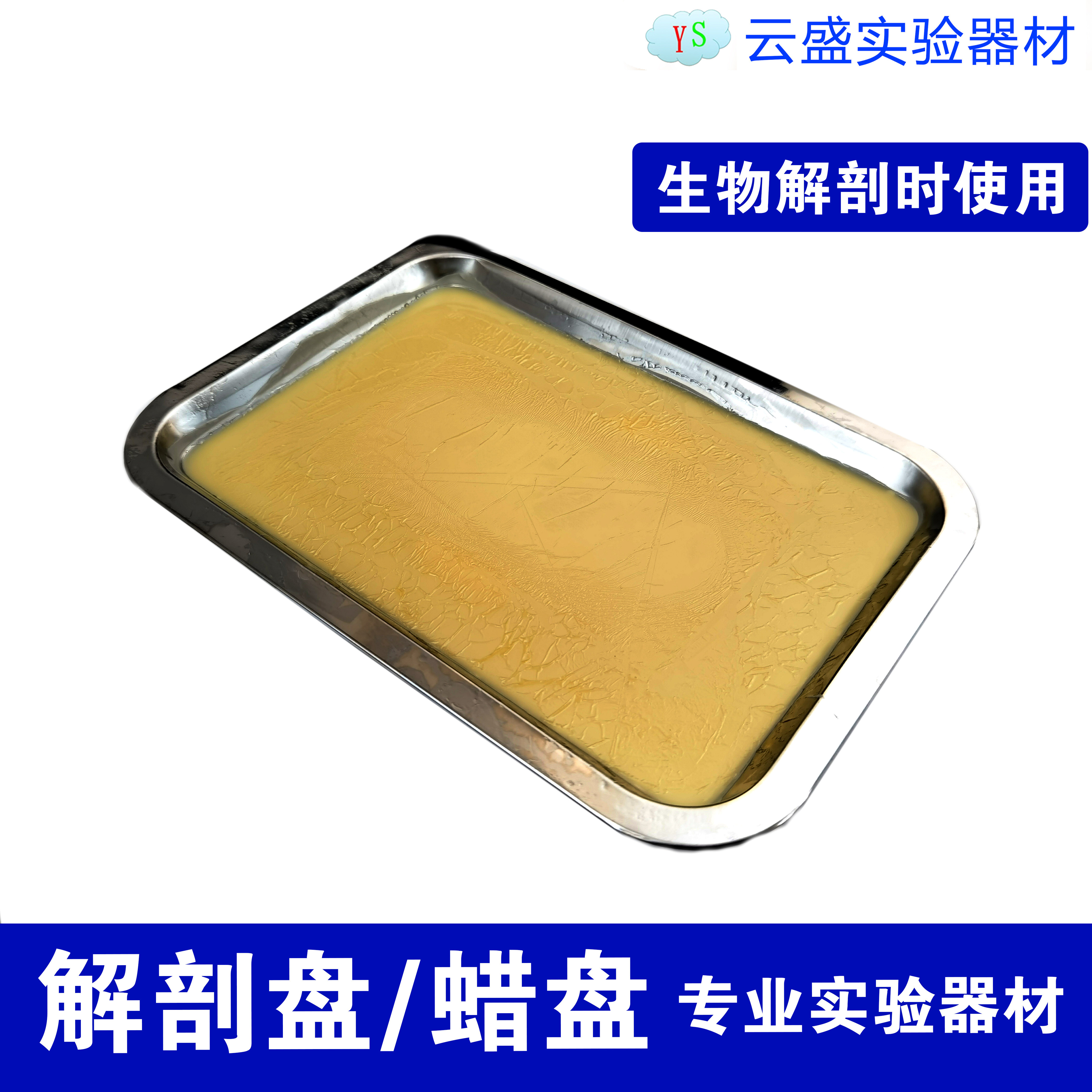 包邮解剖盘 蜡盘 26X19cmX厚度1.5cm 金属盘初中高中生物实验器材