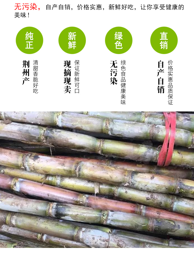 【5斤】俏味观现砍绿皮青皮甘蔗