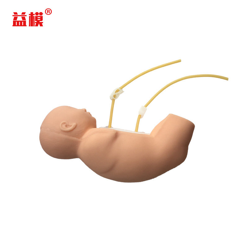 益模   新生儿腰穿刺模型  幼儿背部脊髓穿刺人体模型 标准腰椎穿刺体位