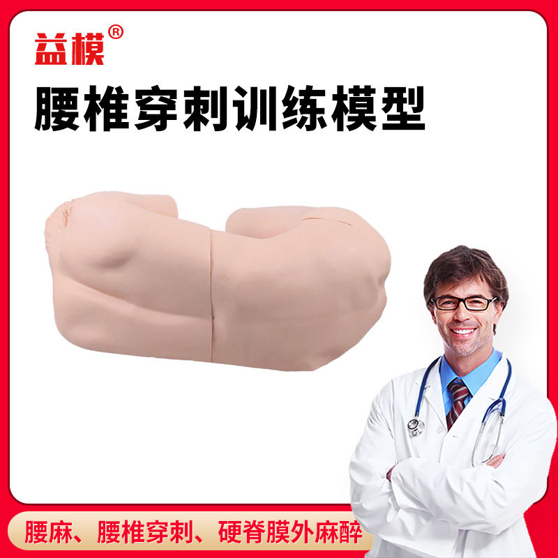益模 成人腰椎穿刺训练模型 腰麻 腰椎穿刺 硬膜外阻滞 尾神经阻滞 骶神经阻滞 腰交感神经阻滞 硬脊膜外麻醉